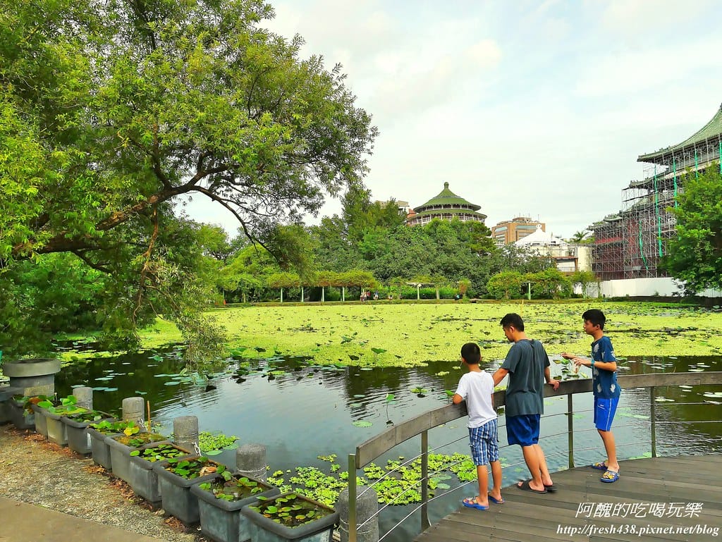 【台北建案】品陽大苑,處優質學區、擁藍天綠地、受藝文薰陶、享購物之便,安全至上、機能優渥的完美捷運宅。 - 第42張圖 38-1植物園荷花池