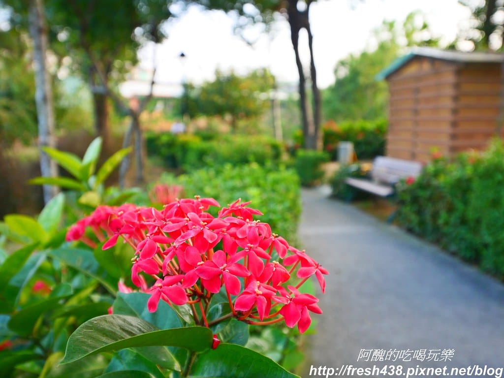 【新北免費景點】鶯歌永吉公園,特色遊戲場全新啟用,地址/停車場/設備內容/公廁位置全公開,孩子們的快樂天堂。 - 第70張圖 P1011979