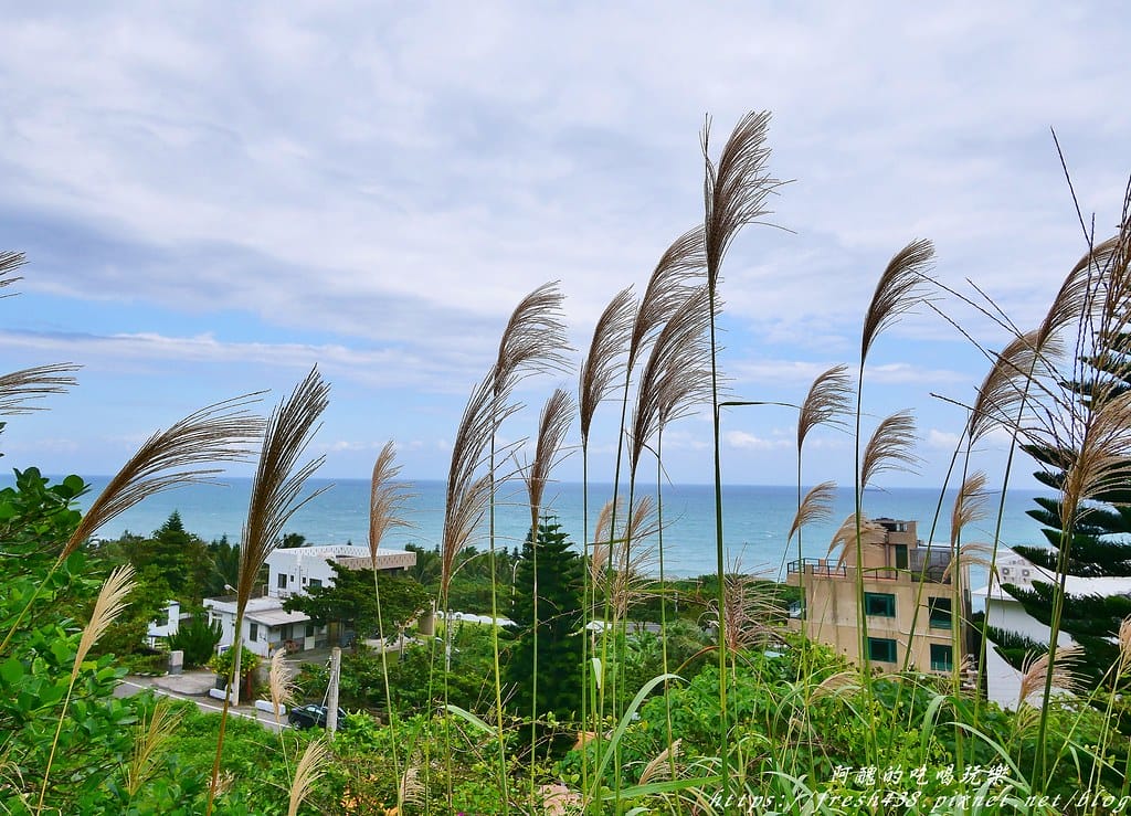 【花蓮咖啡廳推薦】山度空間,看海秘境,平日免費入園,水晶鞦韆超吸睛,放空好去處! - 第20張圖 16