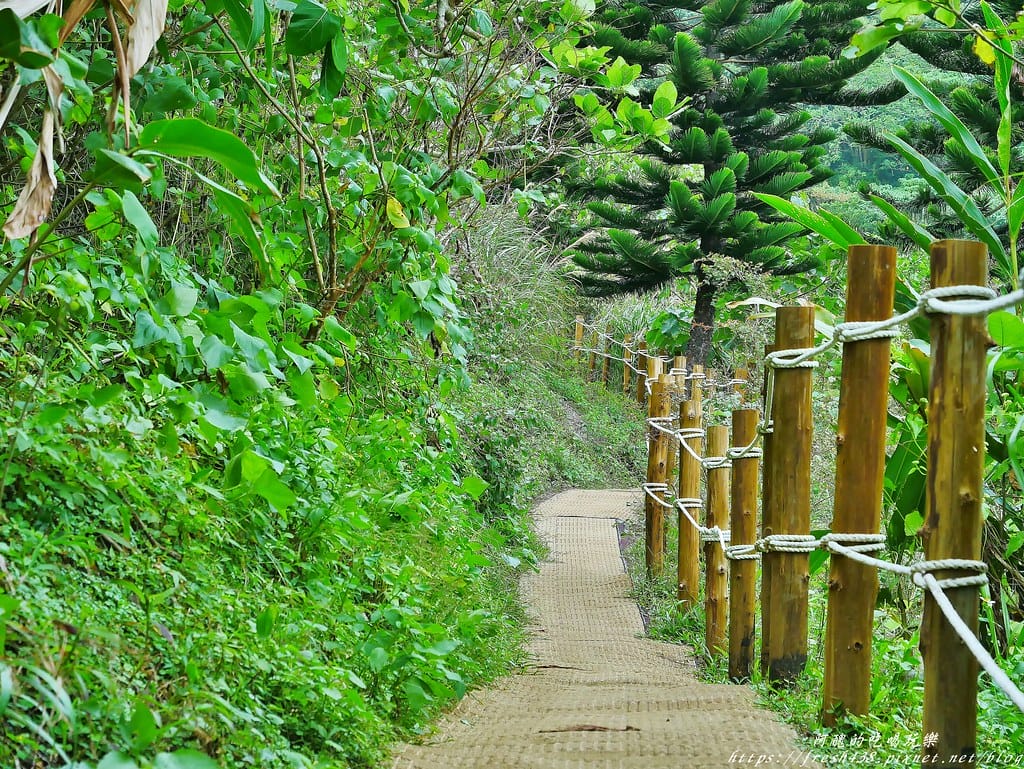 【花蓮咖啡廳推薦】山度空間,看海秘境,平日免費入園,水晶鞦韆超吸睛,放空好去處! - 第32張圖 35