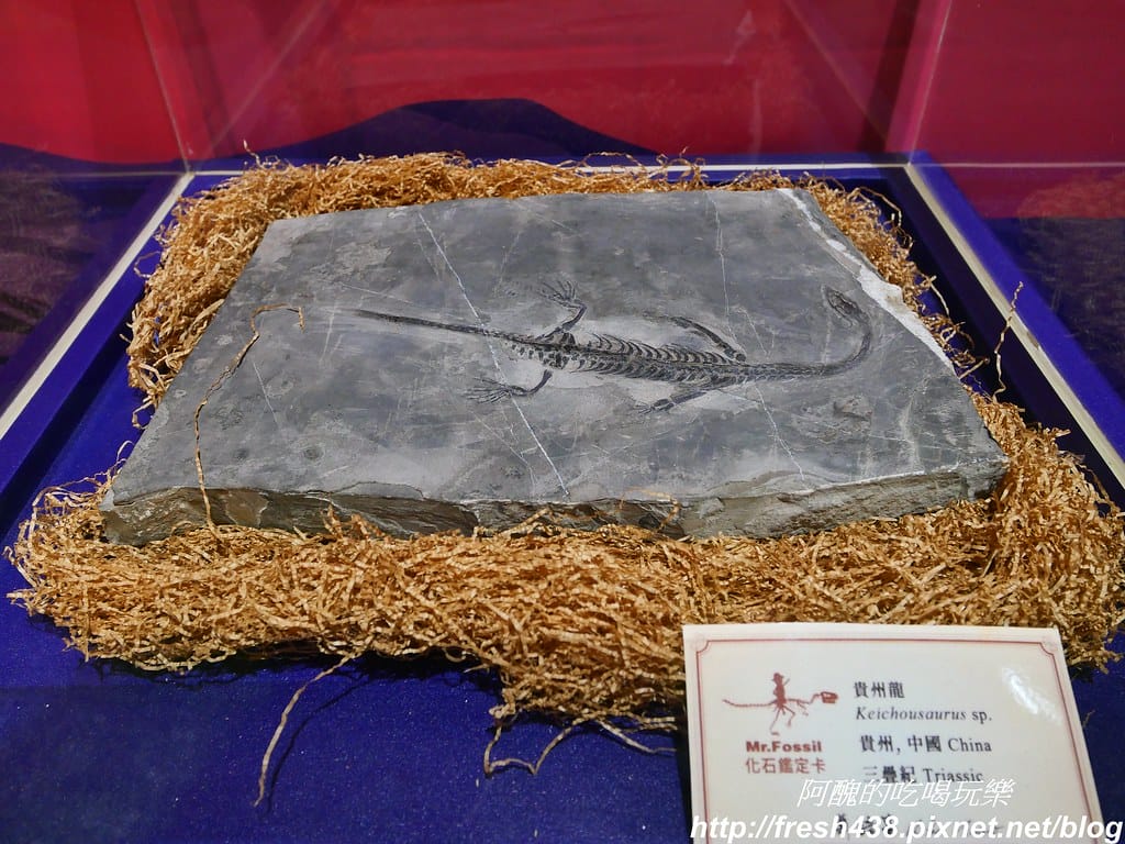 P1012961