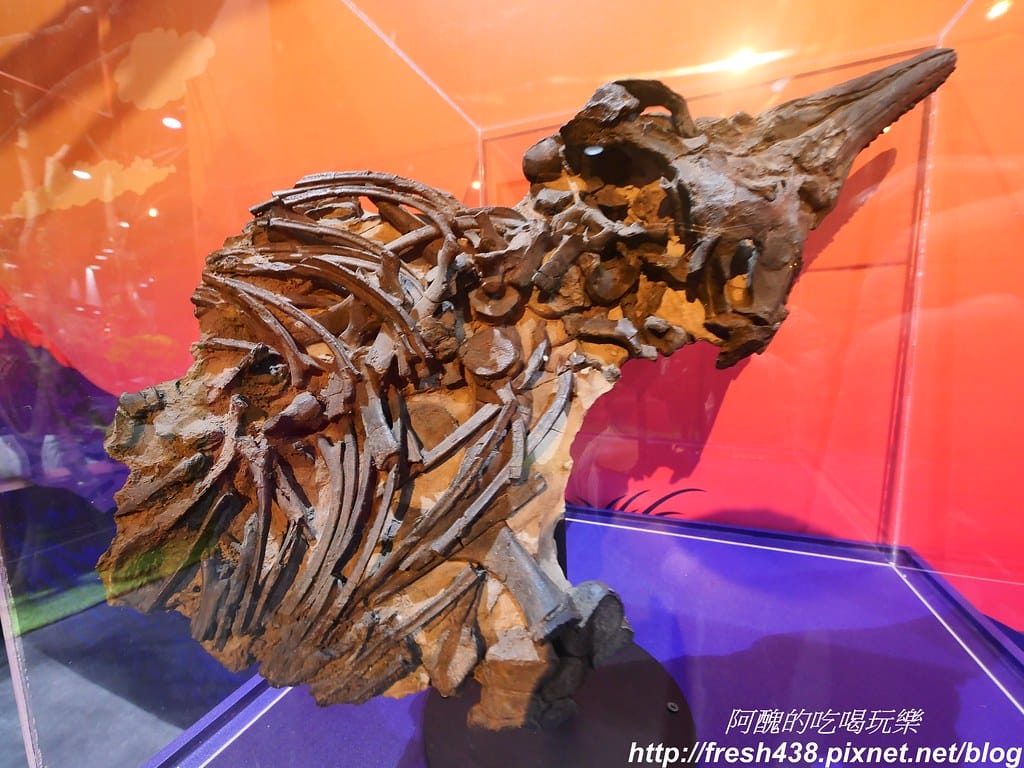 P1012962