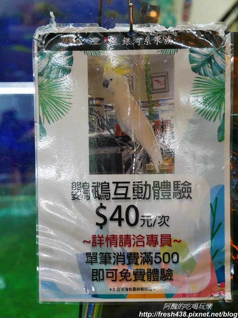 P1710076
