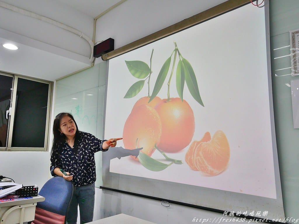 楊氏速讀記憶班(南陽班),超有趣的學習課程,訓練寶貝專注力、記憶力、速度力、觀察力、想像力與流暢能力,讀書不再靠死背硬記! - 第36張圖 37觀察主題(橘子)