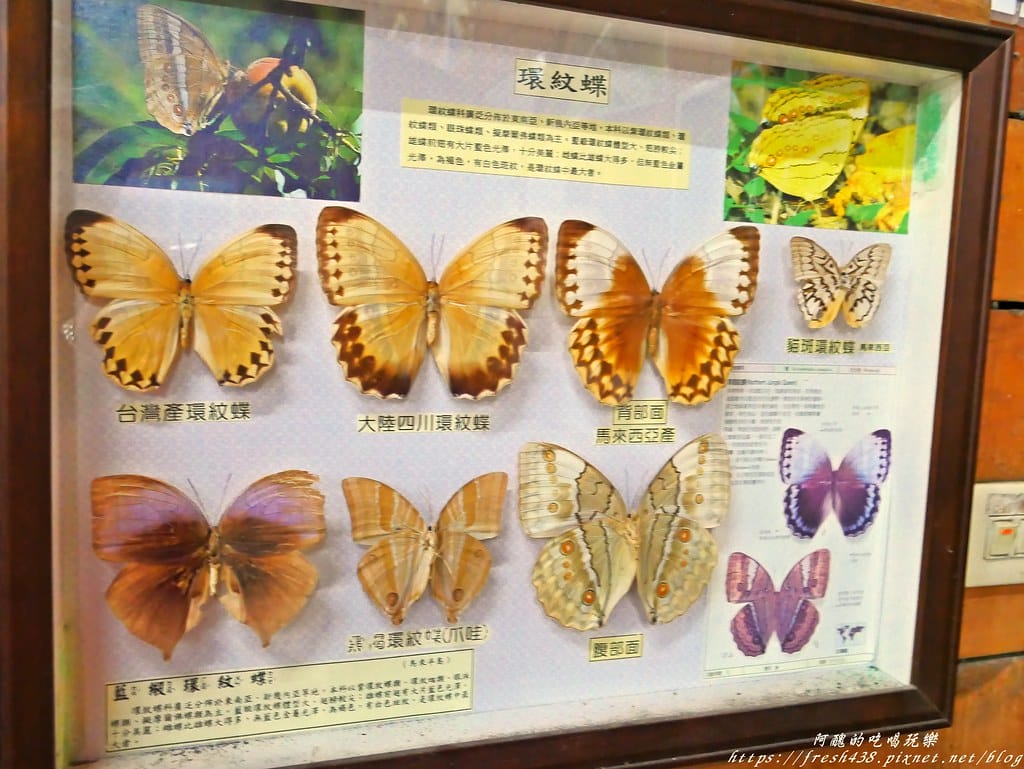 P1690122