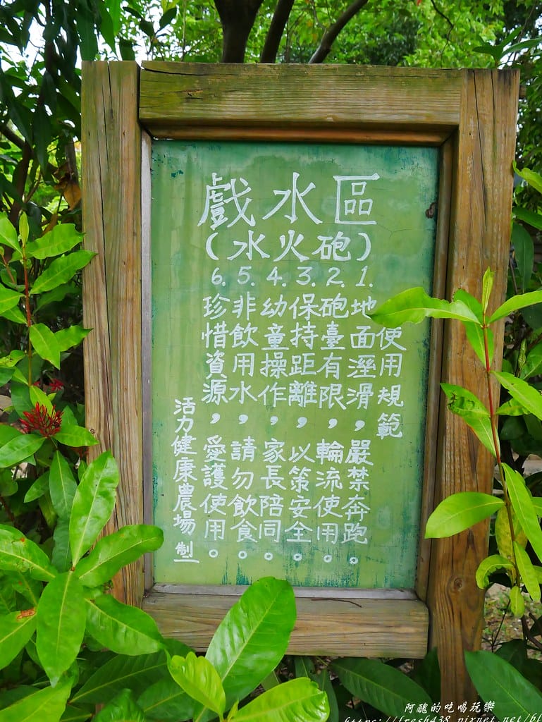 P1690243