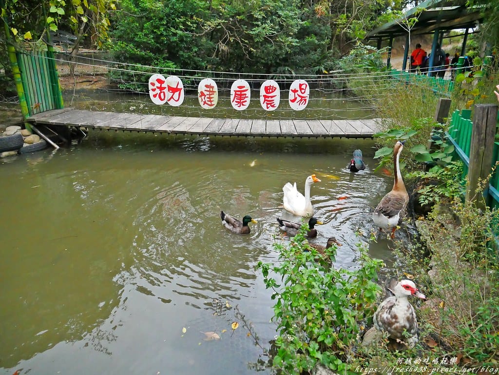 P1690101