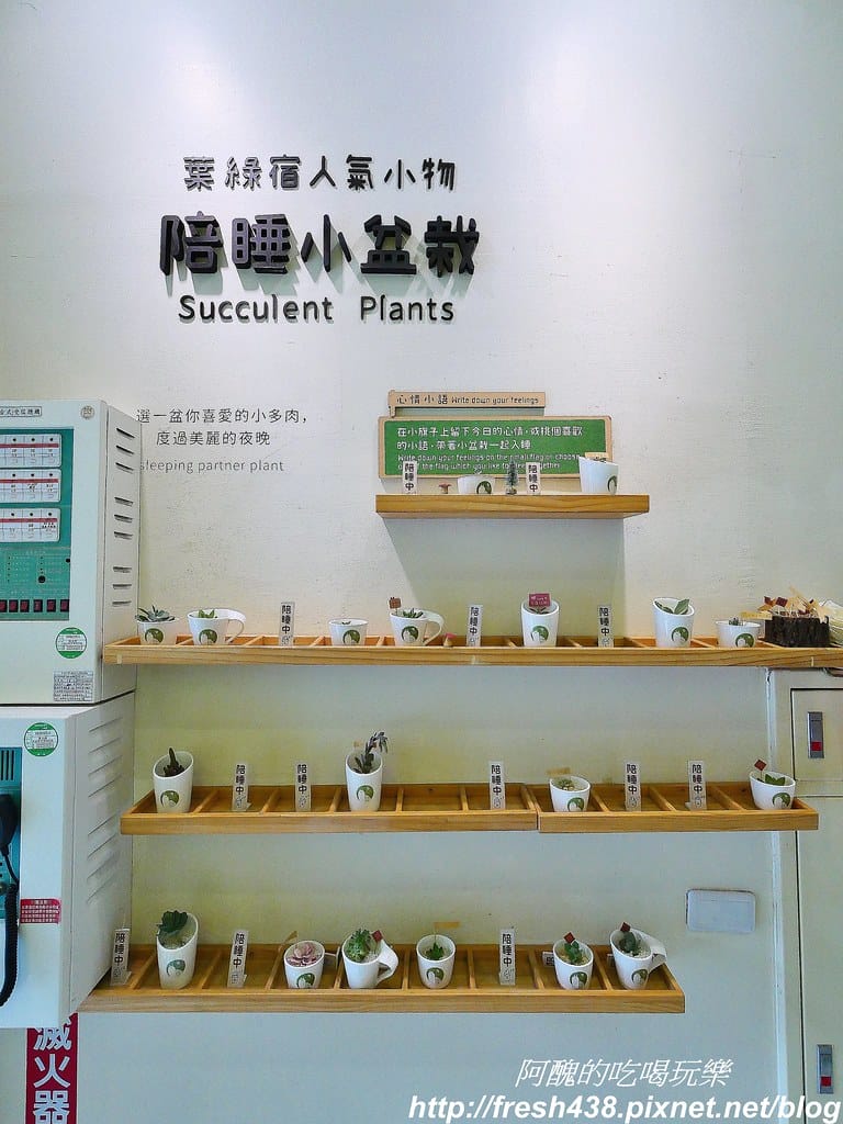 【台中住宿推薦】葉綠宿旅館,環保親子旅店,讓您大口深呼吸,距離逢甲夜市步行只要3分鐘。 - 第16張圖 5