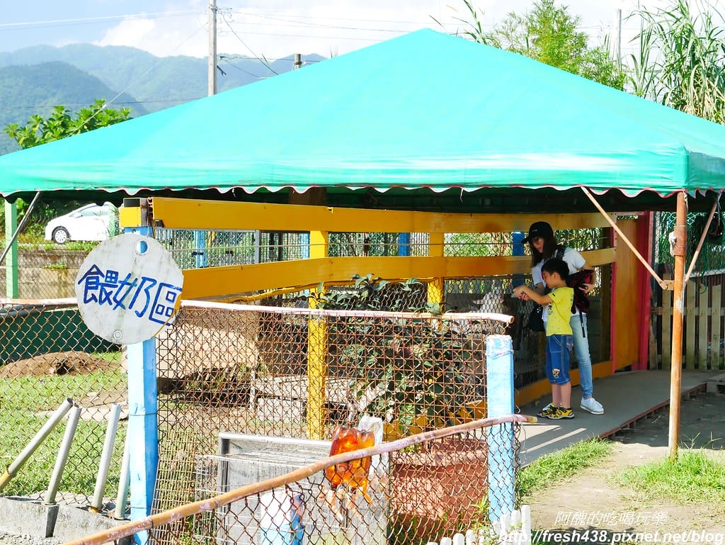 【宜蘭農場】可達休閒羊場,免門票,體驗活動最低20元,餵大羊吃草、餵小羊喝奶、體驗擠羊奶、彩繪陶瓷娃娃,宜蘭親子一日遊首選。 - 第12張圖 P1690714