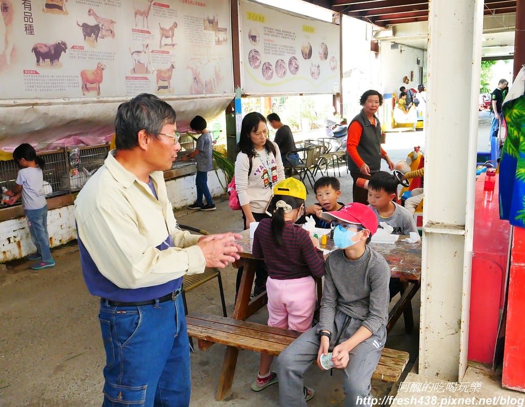 【宜蘭農場】可達休閒羊場,免門票,體驗活動最低20元,餵大羊吃草、餵小羊喝奶、體驗擠羊奶、彩繪陶瓷娃娃,宜蘭親子一日遊首選。 - 第40張圖 P1690745