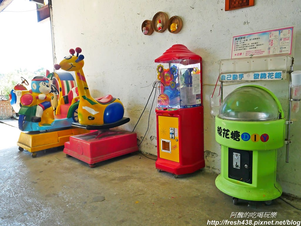 【宜蘭農場】可達休閒羊場,免門票,體驗活動最低20元,餵大羊吃草、餵小羊喝奶、體驗擠羊奶、彩繪陶瓷娃娃,宜蘭親子一日遊首選。 - 第54張圖 P1690795