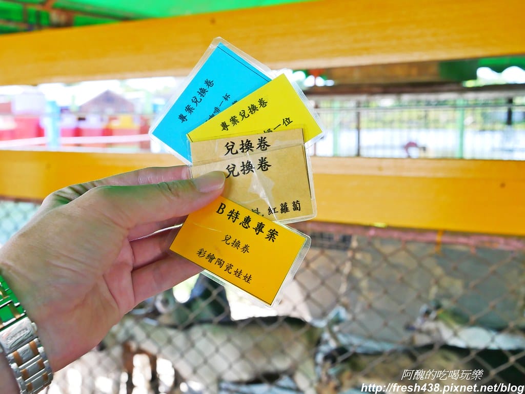 【宜蘭農場】可達休閒羊場,免門票,體驗活動最低20元,餵大羊吃草、餵小羊喝奶、體驗擠羊奶、彩繪陶瓷娃娃,宜蘭親子一日遊首選。 - 第9張圖 P1690663