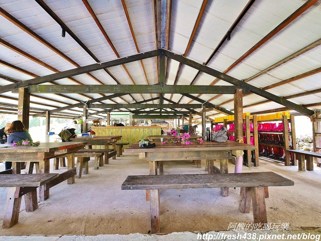 【新北景點】鹿羽松牧場,台版奈良在金山!!近距離餵食梅花鹿、綿羊豬、跳跳羊,孩子們的快樂天堂。 - 第13張圖 5-4