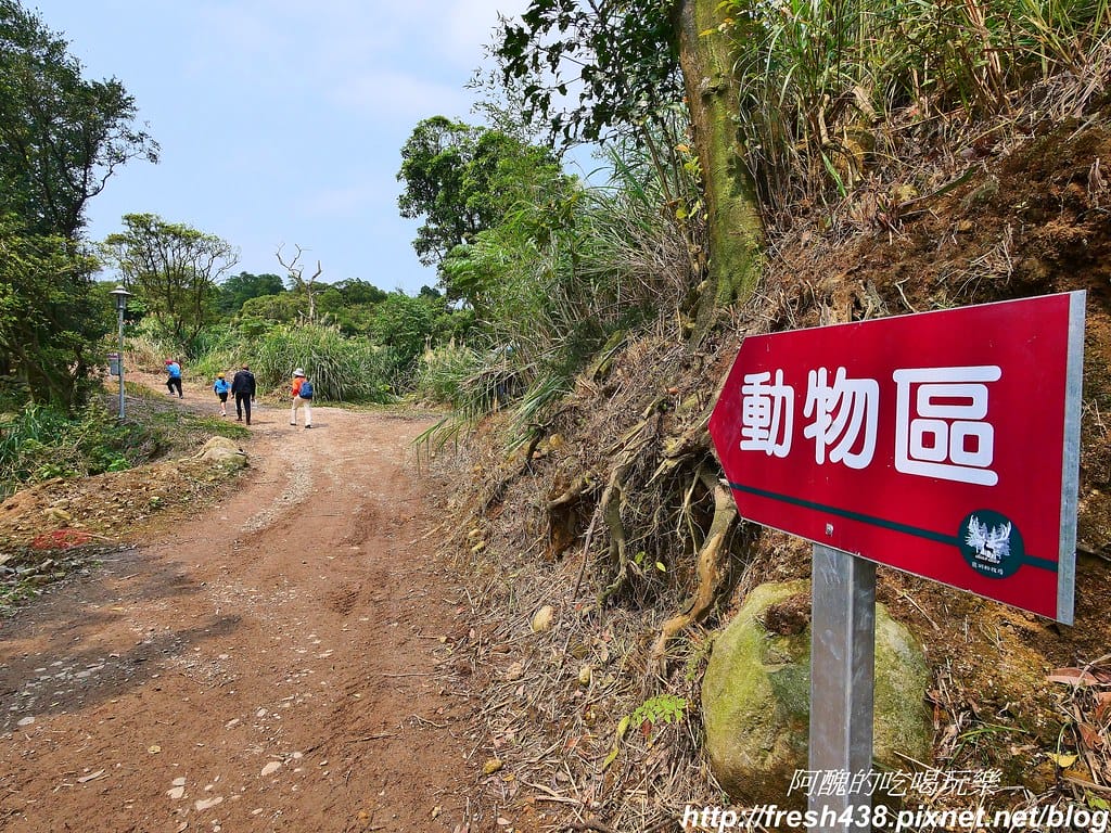 【新北景點】鹿羽松牧場,台版奈良在金山!!近距離餵食梅花鹿、綿羊豬、跳跳羊,孩子們的快樂天堂。 - 第35張圖 16