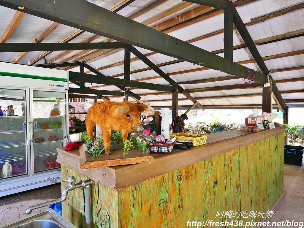 【新北景點】鹿羽松牧場,台版奈良在金山!!近距離餵食梅花鹿、綿羊豬、跳跳羊,孩子們的快樂天堂。 - 第14張圖 5-5