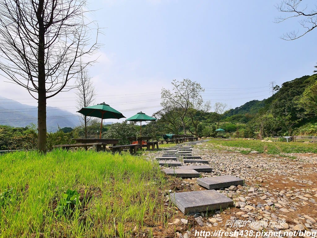 【新北景點】鹿羽松牧場,台版奈良在金山!!近距離餵食梅花鹿、綿羊豬、跳跳羊,孩子們的快樂天堂。 - 第27張圖 9-4