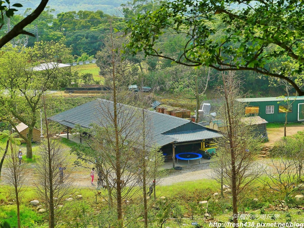 【新北景點】鹿羽松牧場,台版奈良在金山!!近距離餵食梅花鹿、綿羊豬、跳跳羊,孩子們的快樂天堂。 - 第75張圖 63