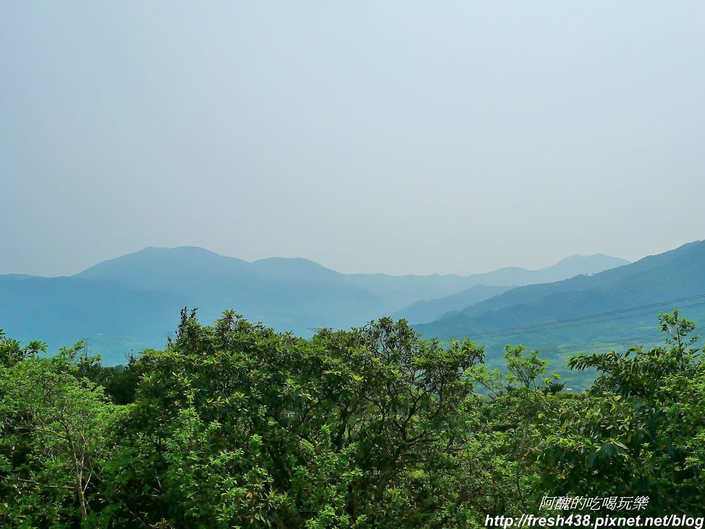 【新北景點】鹿羽松牧場,台版奈良在金山!!近距離餵食梅花鹿、綿羊豬、跳跳羊,孩子們的快樂天堂。 - 第73張圖 61
