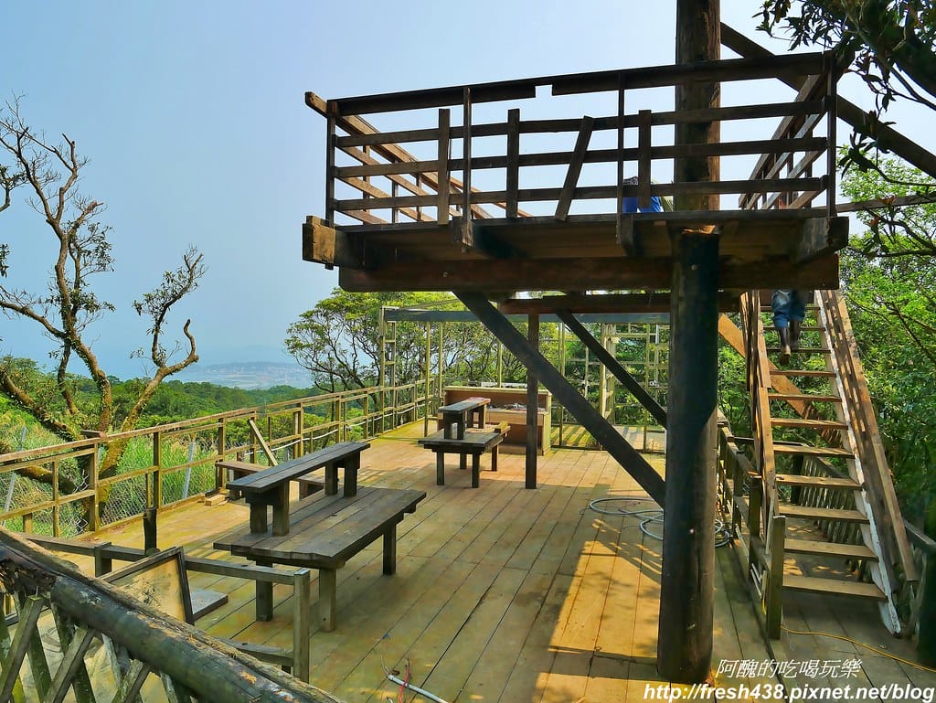 【新北景點】鹿羽松牧場,台版奈良在金山!!近距離餵食梅花鹿、綿羊豬、跳跳羊,孩子們的快樂天堂。 - 第71張圖 59