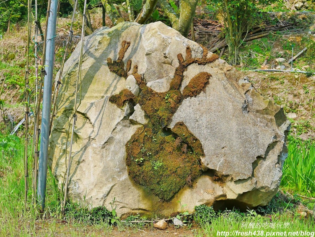 【新北景點】鹿羽松牧場,台版奈良在金山!!近距離餵食梅花鹿、綿羊豬、跳跳羊,孩子們的快樂天堂。 - 第79張圖 68