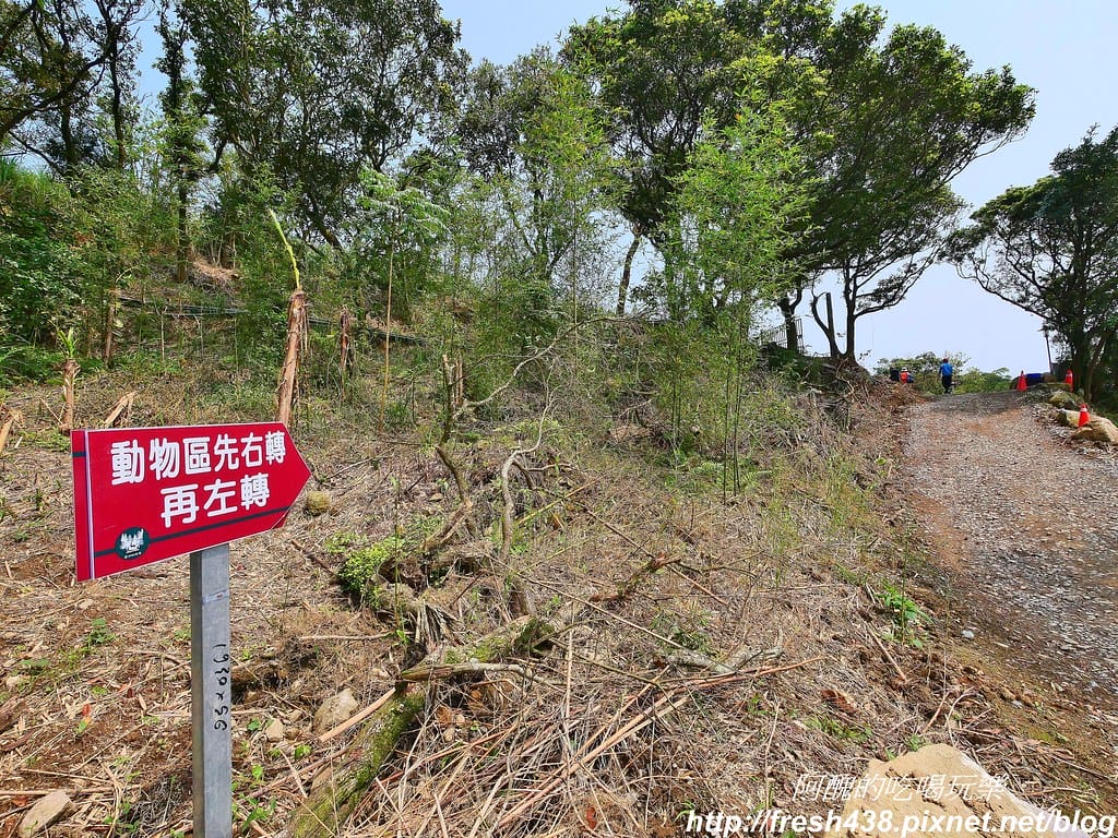 【新北景點】鹿羽松牧場,台版奈良在金山!!近距離餵食梅花鹿、綿羊豬、跳跳羊,孩子們的快樂天堂。 - 第34張圖 15