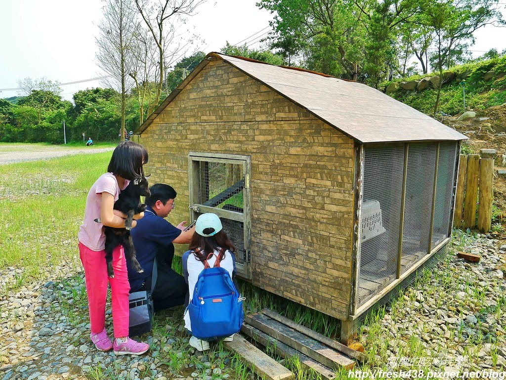 【新北景點】鹿羽松牧場,台版奈良在金山!!近距離餵食梅花鹿、綿羊豬、跳跳羊,孩子們的快樂天堂。 - 第20張圖 65-5