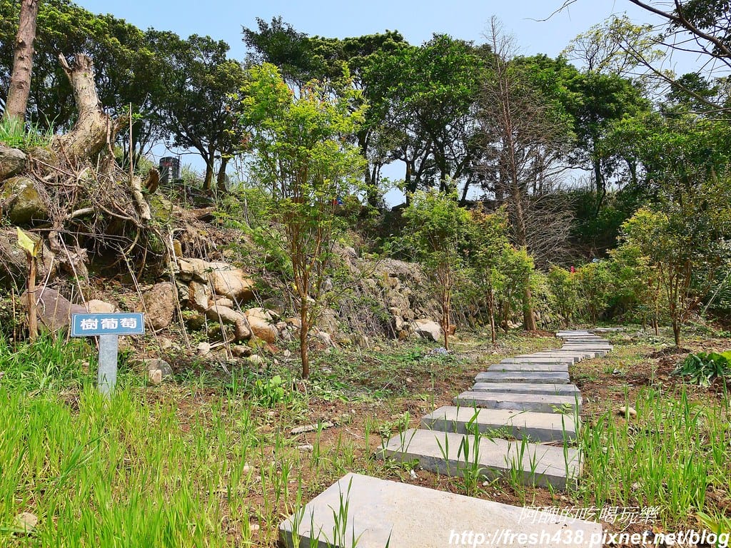 【新北景點】鹿羽松牧場,台版奈良在金山!!近距離餵食梅花鹿、綿羊豬、跳跳羊,孩子們的快樂天堂。 - 第26張圖 9-3