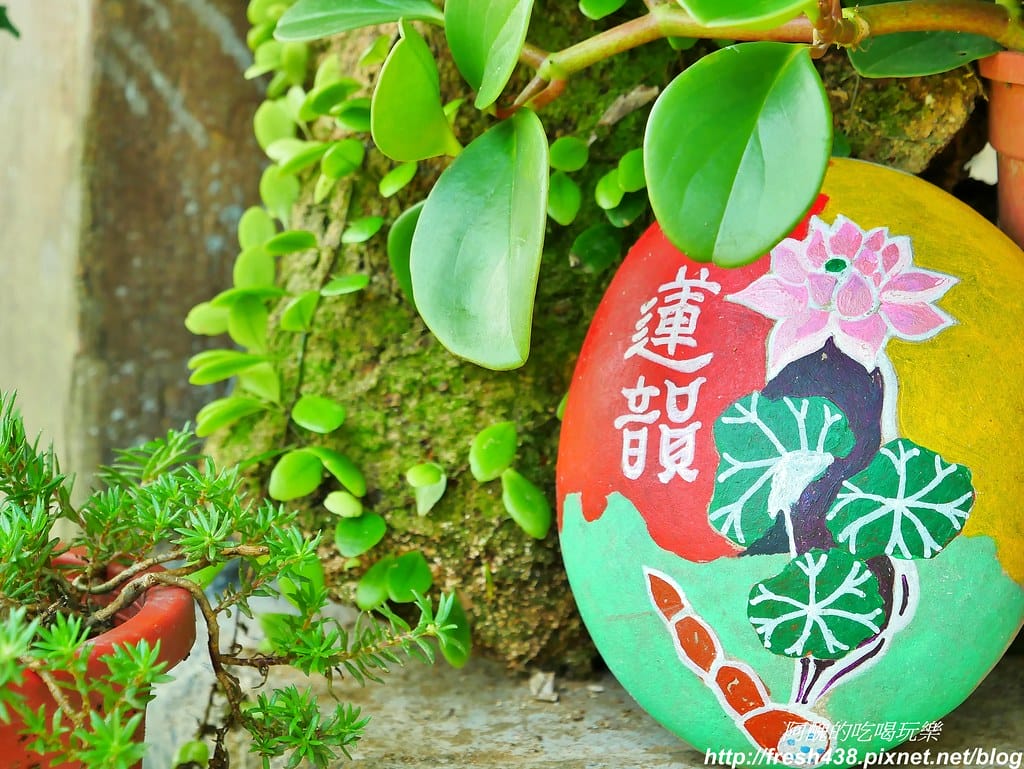 【新北景點】鹿羽松牧場,台版奈良在金山!!近距離餵食梅花鹿、綿羊豬、跳跳羊,孩子們的快樂天堂。 - 第11張圖 5-3