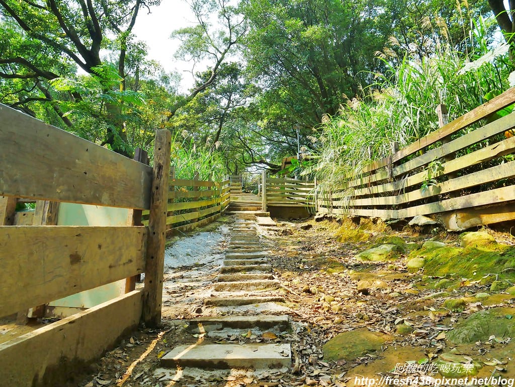 【新北景點】鹿羽松牧場,台版奈良在金山!!近距離餵食梅花鹿、綿羊豬、跳跳羊,孩子們的快樂天堂。 - 第42張圖 23