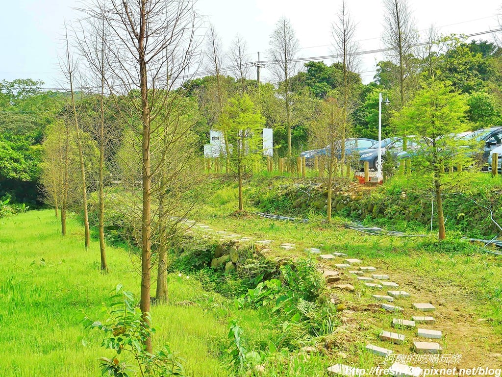 【新北景點】鹿羽松牧場,台版奈良在金山!!近距離餵食梅花鹿、綿羊豬、跳跳羊,孩子們的快樂天堂。 - 第77張圖 64-2