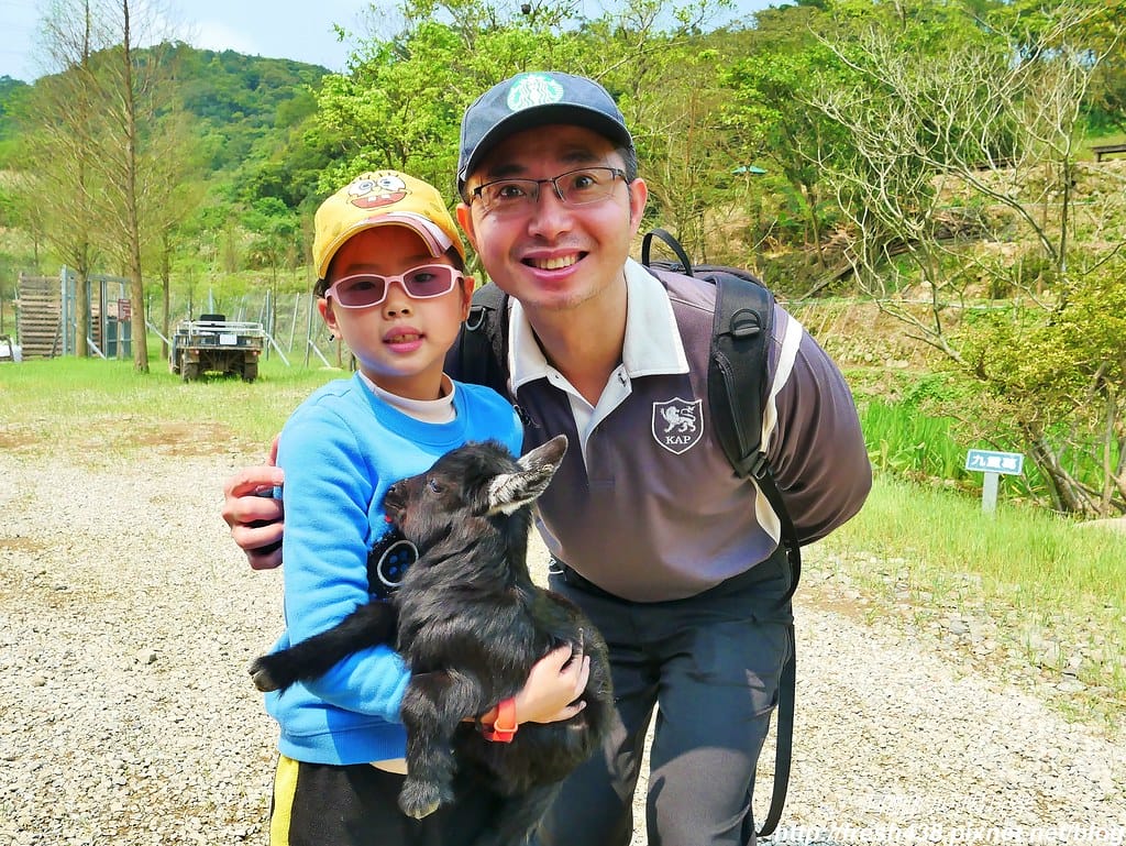 【新北景點】鹿羽松牧場,台版奈良在金山!!近距離餵食梅花鹿、綿羊豬、跳跳羊,孩子們的快樂天堂。 - 第19張圖 8-2