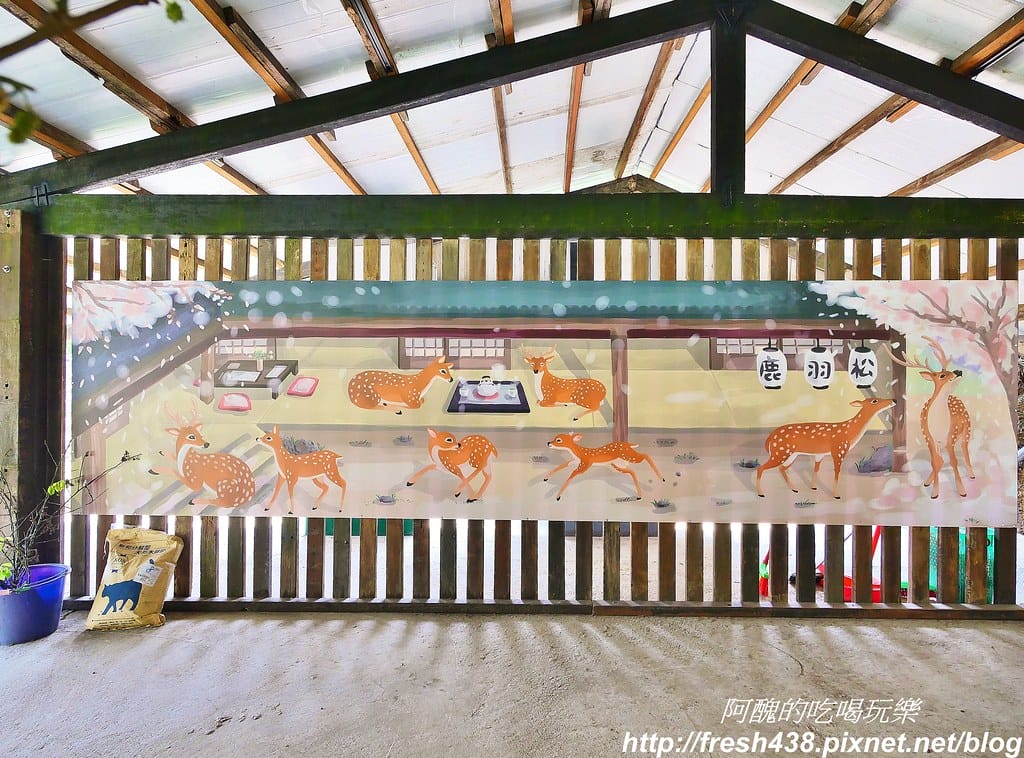 【新北景點】鹿羽松牧場,台版奈良在金山!!近距離餵食梅花鹿、綿羊豬、跳跳羊,孩子們的快樂天堂。 - 第12張圖 5-8