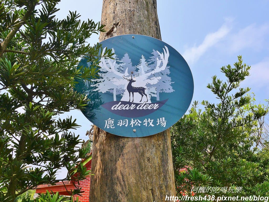 【新北景點】鹿羽松牧場,台版奈良在金山!!近距離餵食梅花鹿、綿羊豬、跳跳羊,孩子們的快樂天堂。 - 第3張圖 1