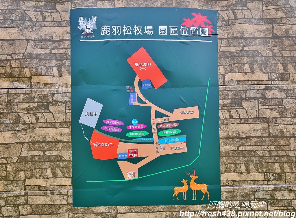 【新北景點】鹿羽松牧場,台版奈良在金山!!近距離餵食梅花鹿、綿羊豬、跳跳羊,孩子們的快樂天堂。 - 第8張圖 4-1
