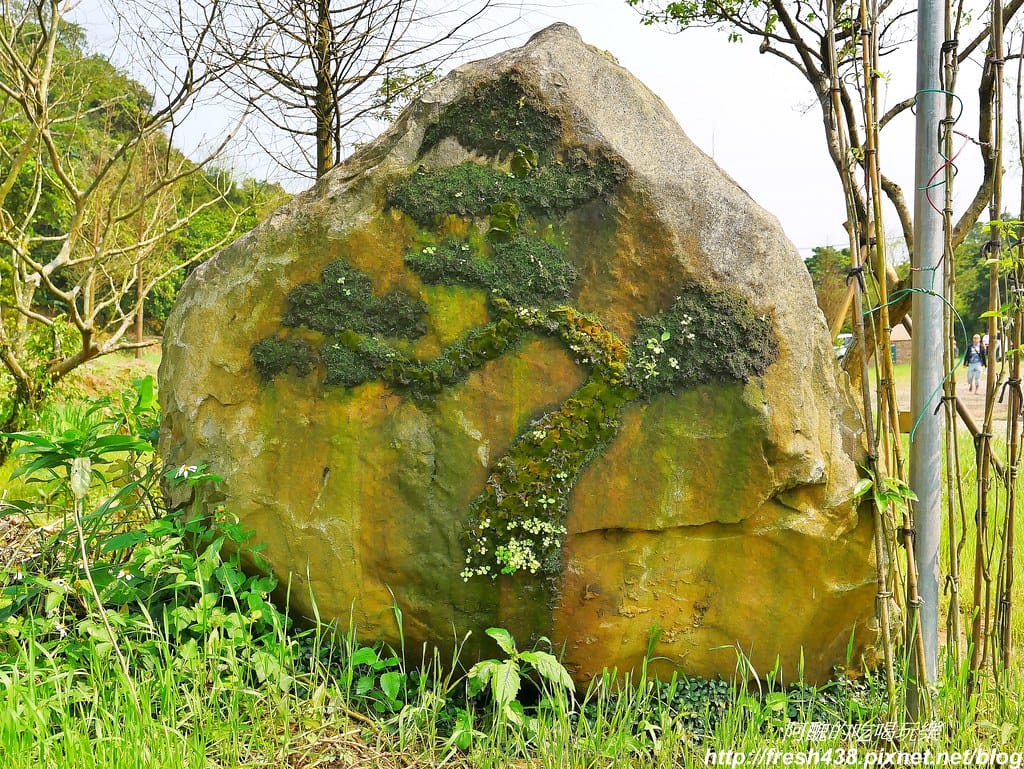 【新北景點】鹿羽松牧場,台版奈良在金山!!近距離餵食梅花鹿、綿羊豬、跳跳羊,孩子們的快樂天堂。 - 第80張圖 68-1
