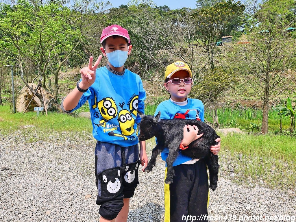 【新北景點】鹿羽松牧場,台版奈良在金山!!近距離餵食梅花鹿、綿羊豬、跳跳羊,孩子們的快樂天堂。 - 第18張圖 8-1