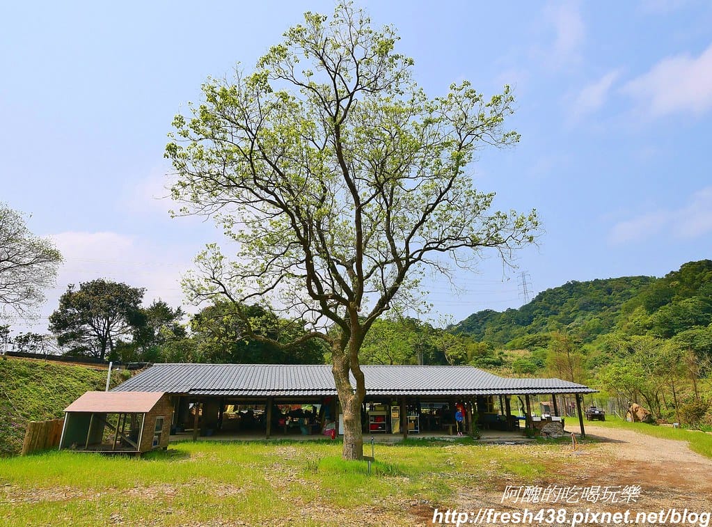 【新北景點】鹿羽松牧場,台版奈良在金山!!近距離餵食梅花鹿、綿羊豬、跳跳羊,孩子們的快樂天堂。 - 第9張圖 5