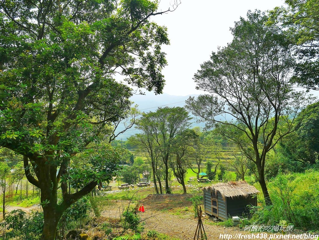 【新北景點】鹿羽松牧場,台版奈良在金山!!近距離餵食梅花鹿、綿羊豬、跳跳羊,孩子們的快樂天堂。 - 第74張圖 62