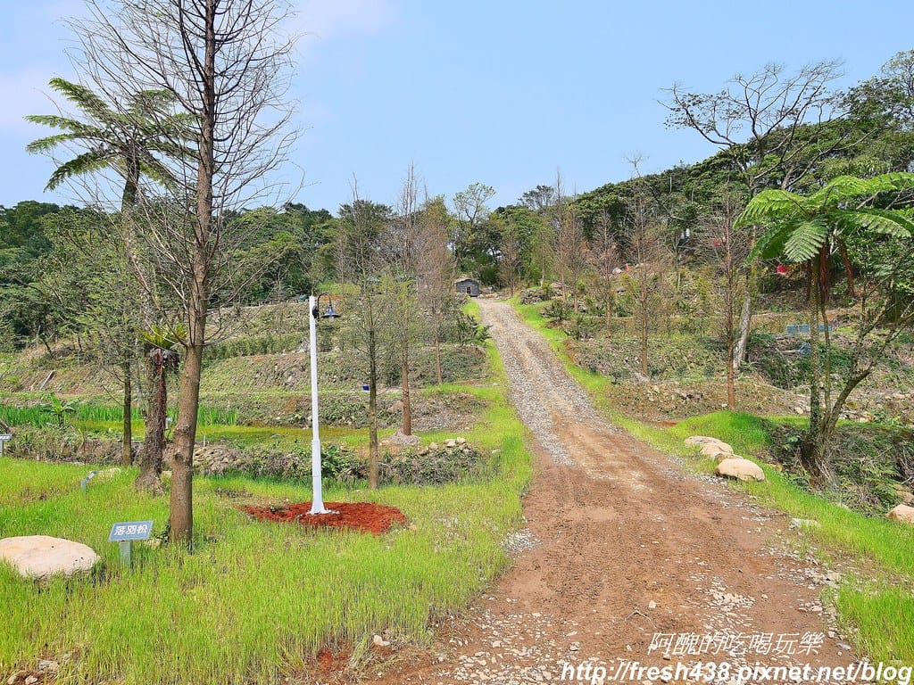 【新北景點】鹿羽松牧場,台版奈良在金山!!近距離餵食梅花鹿、綿羊豬、跳跳羊,孩子們的快樂天堂。 - 第25張圖 9