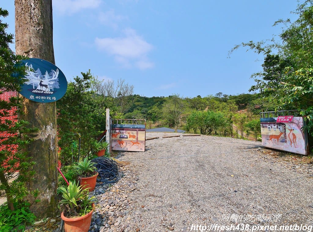 【新北景點】鹿羽松牧場,台版奈良在金山!!近距離餵食梅花鹿、綿羊豬、跳跳羊,孩子們的快樂天堂。 - 第4張圖 2