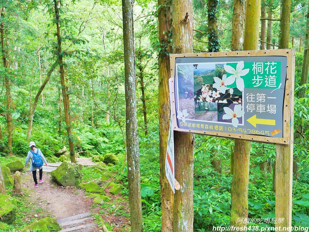 【新竹景點】馬武督探索森林、綠光森林、綠光小學,來場森林深呼吸,賞桐花正是時候! - 第80張圖 73