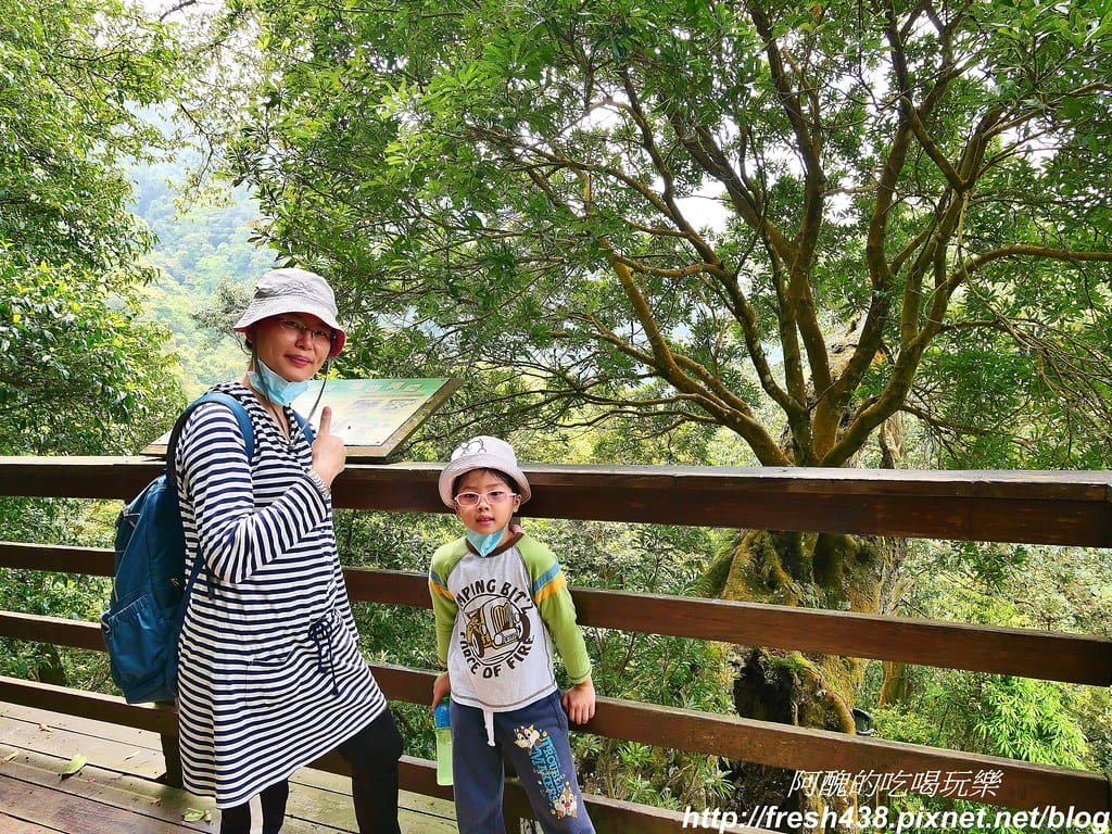 【新竹景點】馬武督探索森林、綠光森林、綠光小學,來場森林深呼吸,賞桐花正是時候! - 第63張圖 55