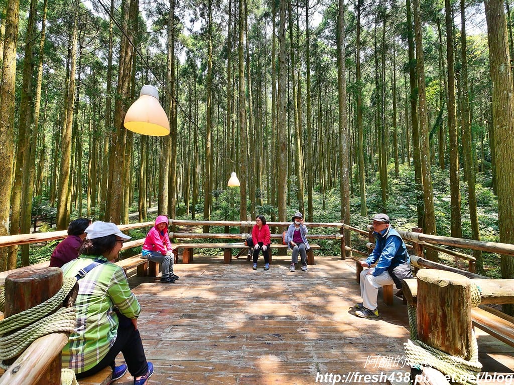 【新竹景點】馬武督探索森林、綠光森林、綠光小學,來場森林深呼吸,賞桐花正是時候! - 第31張圖 23