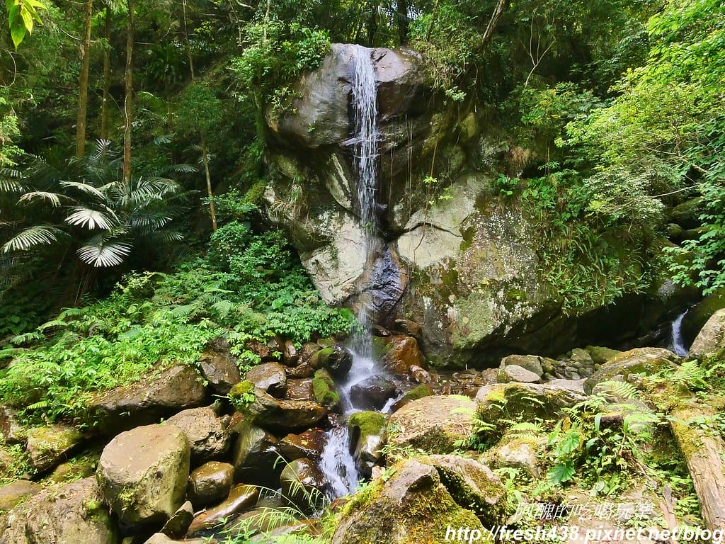 【新竹景點】馬武督探索森林、綠光森林、綠光小學,來場森林深呼吸,賞桐花正是時候! - 第45張圖 36