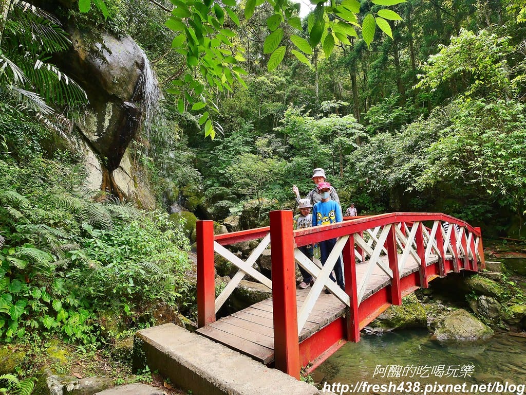 【新竹景點】馬武督探索森林、綠光森林、綠光小學,來場森林深呼吸,賞桐花正是時候! - 第44張圖 35