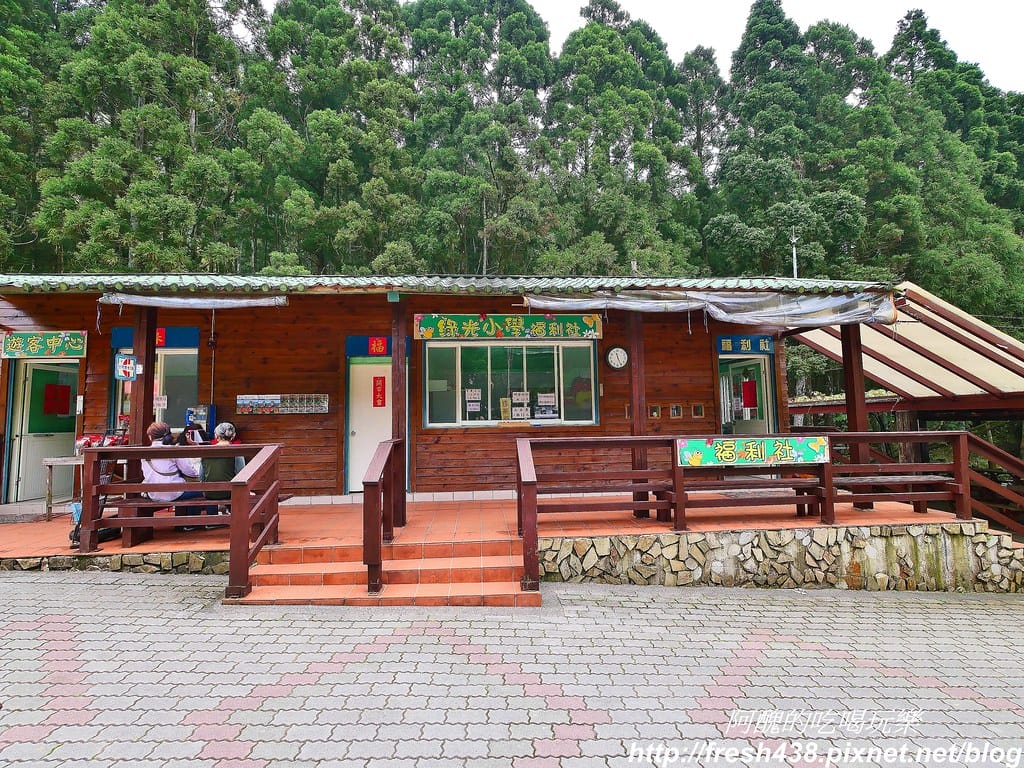 【新竹景點】馬武督探索森林、綠光森林、綠光小學,來場森林深呼吸,賞桐花正是時候! - 第15張圖 9