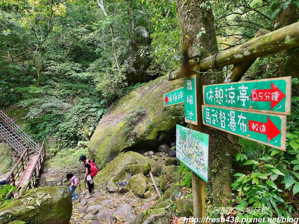 【新竹景點】馬武督探索森林、綠光森林、綠光小學,來場森林深呼吸,賞桐花正是時候! - 第56張圖 48