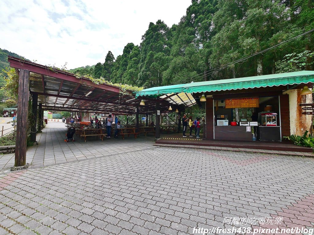 【新竹景點】馬武督探索森林、綠光森林、綠光小學,來場森林深呼吸,賞桐花正是時候! - 第17張圖 11