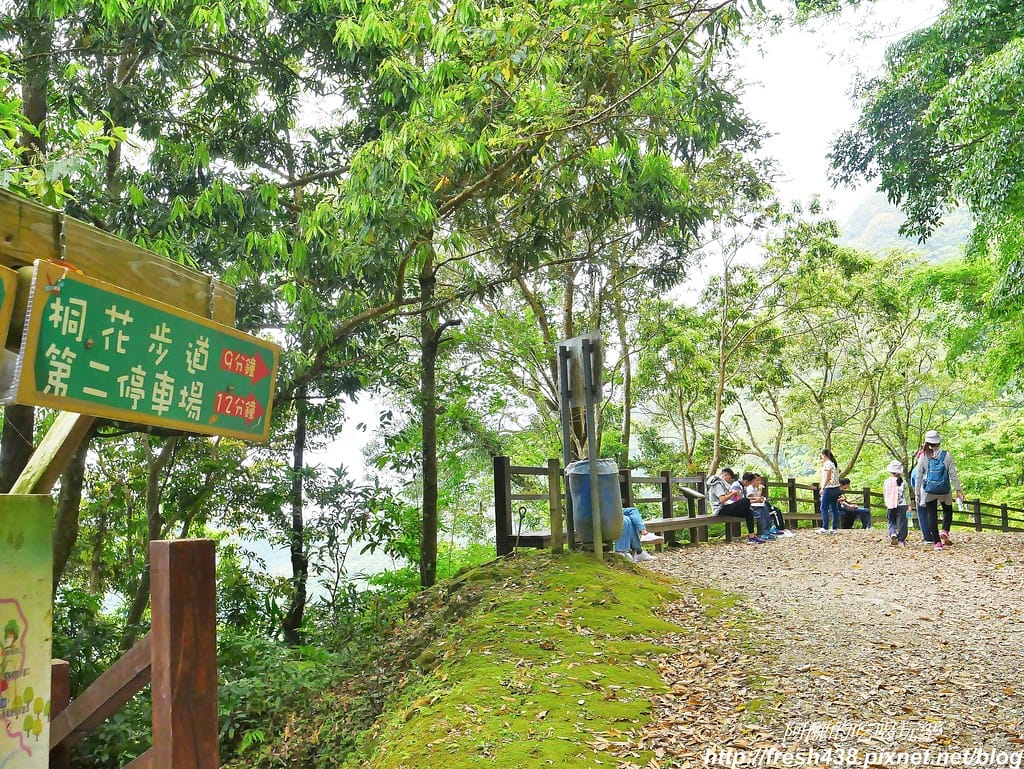 【新竹景點】馬武督探索森林、綠光森林、綠光小學,來場森林深呼吸,賞桐花正是時候! - 第75張圖 66