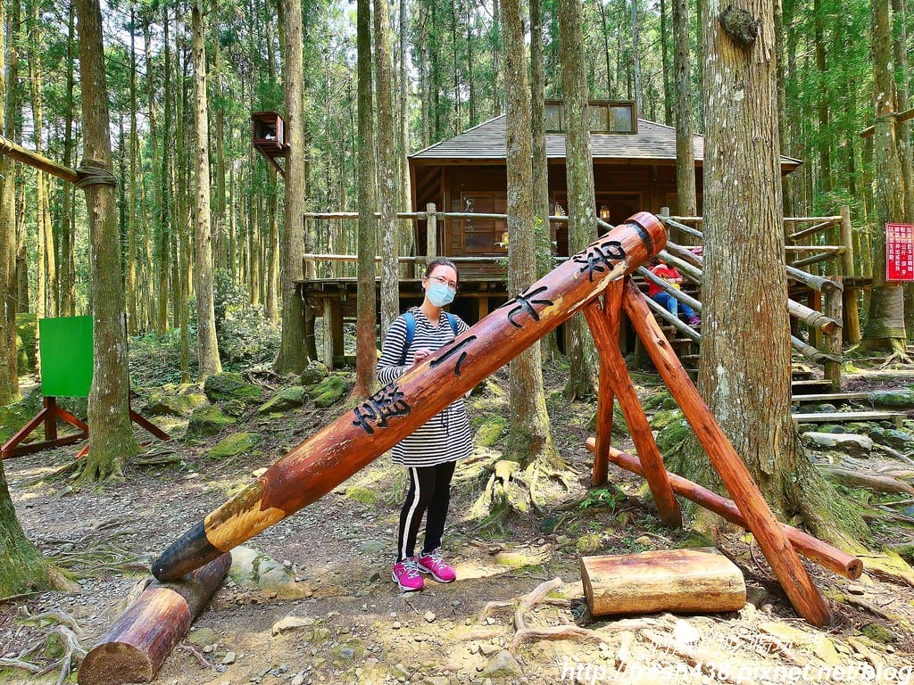 【新竹景點】馬武督探索森林、綠光森林、綠光小學,來場森林深呼吸,賞桐花正是時候! - 第25張圖 18